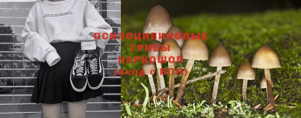 первитин Абаза