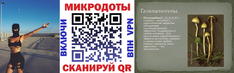 Галлюциногенные грибы Cubensis  где продают наркотики  ОМГ ОМГ рабочий сайт  Хилок 