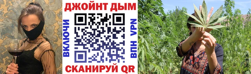 Каннабис семена  Хилок 
